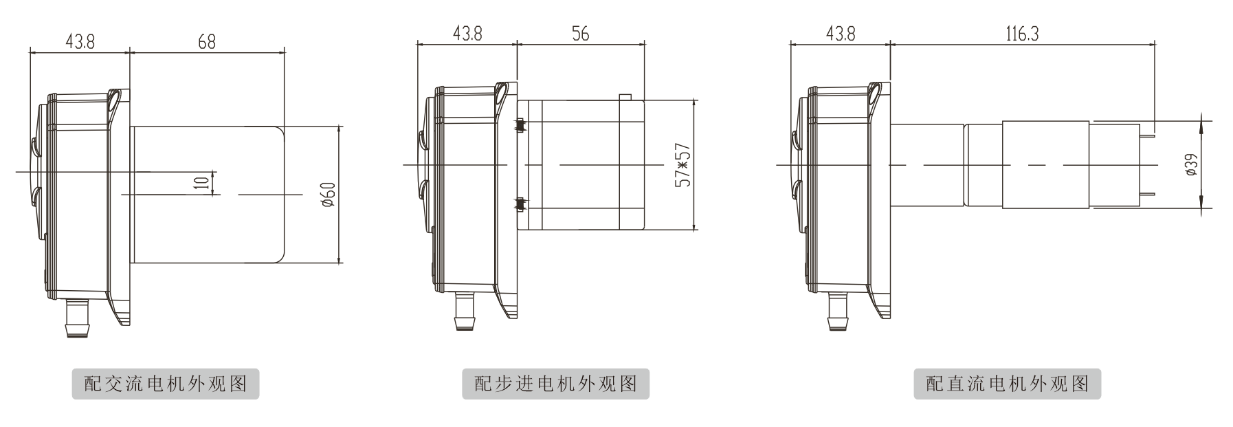 K25蜜桃AV影院